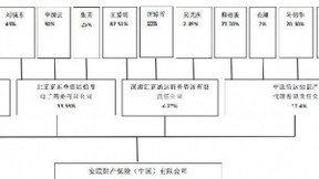 京东5.37亿元入股安联财险成为第二大股东，BATJ等巨头加速抢滩保险业