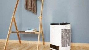 新婚蜜月不能没有它 科沃斯沁宝助力除霾除尘