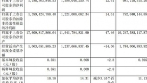 中天科技2017年净利17.88亿元 同比增长12.61%