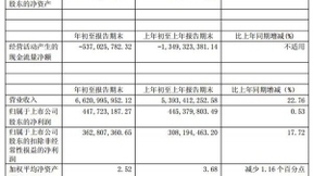 中天科技第一季度营收66.21亿元 同比增长 22.76%