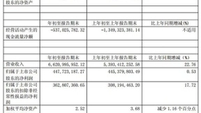 中天科技第一季度营收66.21亿元 同比增长 22.76%