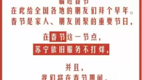 从“春节不打烊”到全年热战 苏宁一季度稳居B2C市场前三