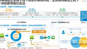 易观年度报告：百果园已成水果新零售产业领跑者