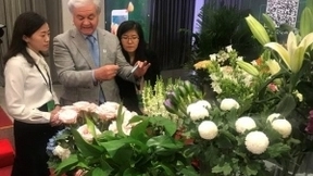 QQ浏览器携手2019北京世园会打造数字植物馆