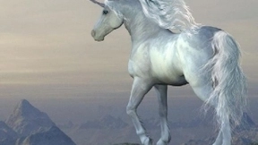 如何成为下一个10亿美金的“独角兽”？