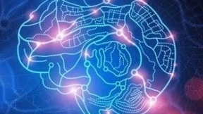 类脑智能开放平台暨人工智能开放社区在合肥发布