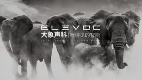 专注机器听觉解决方案，大象声科获小米和高通创投数千万元Pre-A轮投资