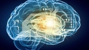 大数据赋能AI+翻译 译讯科技重塑语言服务格局