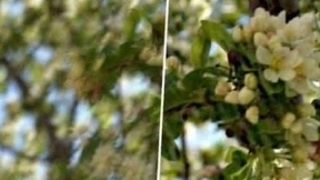 模糊图像变高清人工智能只需几毫秒