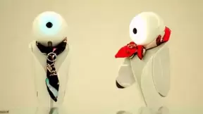 当机器人与人工智能亲密接触，沟通形式的另一可能