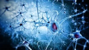 谷歌开发新式AI算法 可绘制大脑神经系统图像