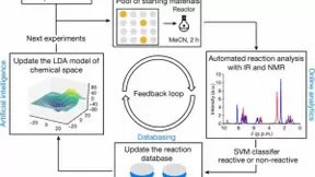 探索新型化学反应的AI机器人诞生！有望加速药物发现