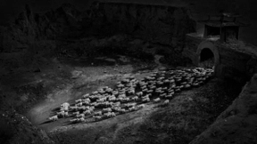 科技公司抢占畜牧业，人工智能到底会不会让农民下岗？