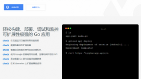 Google 希望将 Go 打造成云端应用开发的首选语言