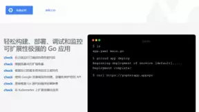 Google 希望将 Go 打造成云端应用开发的首选语言