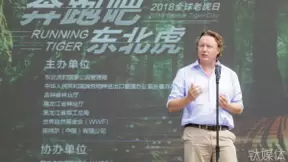 助力保护东北虎，英特尔又找到了一个AI技术的落地实验