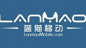 蓝猫移动王金豹：虚商兵分三路，“小而美”者备受关注