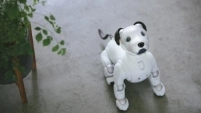 索尼的AI大业，从一只小狗开始