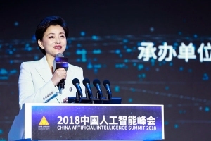 杨澜出席2018中国人工智能峰会畅聊AI赋能