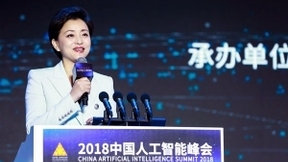 杨澜出席2018中国人工智能峰会畅聊AI赋能