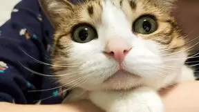 瓜皮的id酱评测美图T9 网友：被皮萌美翻被美图手机种草！