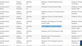 Win10 Mobile惊现1809版本 微软还打算造手机？