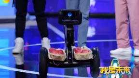 湖南卫视科技秀上实力圈粉，路萌机器人演绎AI新萌宠