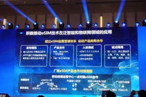 中国电信将推出eSIM服务：聚焦泛智能终端以及物联网领域