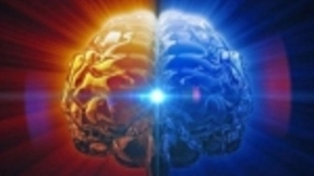 大脑整合记忆机制有望提升人工智能能力