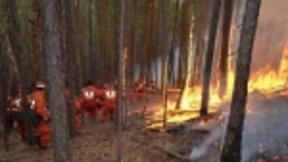 一年烧掉几百亿 森林防火难题何解？无人机或是良方