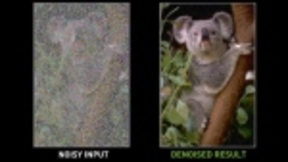 NVIDIA开发出AI降噪系统：模糊照片瞬间变清晰