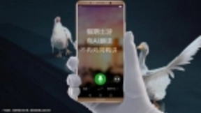 华为Mate 10 AI翻译功能已逆天！Mate 20或将更强