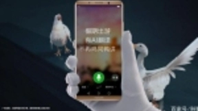 AI算力翻倍！华为Mate 20双脑加持AI翻译更强大