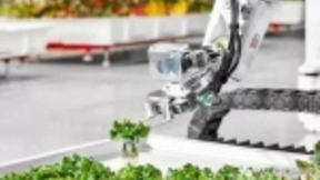 由机器人来采摘 Iron Ox开设无人农场