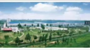 京东云助力东方地毯实现数字化转型升级