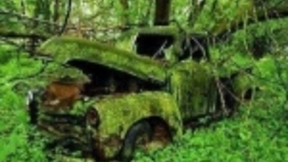 人类什么时候会灭绝？《黑客帝国》背景，也许就会发生在未来！