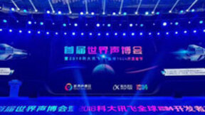 首届世界声博会暨2018科大讯飞全球1024开发者节举行