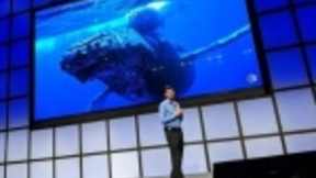 谷歌办“AI社会公益“大赛：奖金高达2500万美元