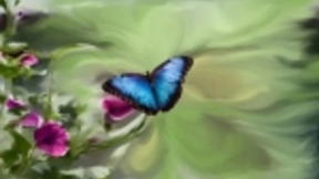 蝴蝶效应，第三届企业创新生态圈大会必将激发我国智慧创新浪潮