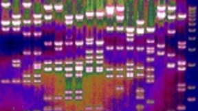 Nature：人工智能协助科学家解密基因序列