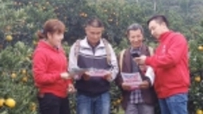 移动互联网让湖北宜昌柑橘别样“红”