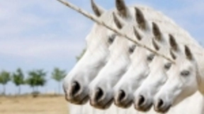 欧盟独角兽CTO分享他对超增长扩张的秘密