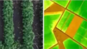 人工智能在传统行业落地应用，中国需打破三重障碍