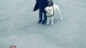 清华大学与百度研发的这台设备能让盲人朋友“看见”图片！