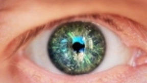 Box发布Skills，允许开发人员将AI和机器学习应用于Box内容