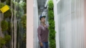 Square Roots为其产品带来更多透明度