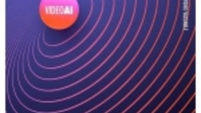 视频AI场景数据应用实例分析