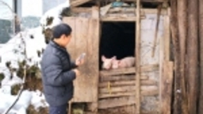 湖北：移动信息化精准破解舌尖上的谣言