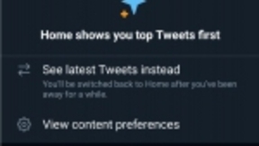 Twitter的去算法化“闪烁按钮”在Android上推出