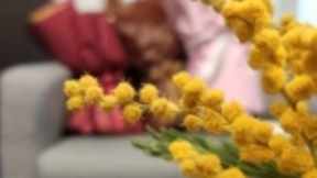 小米9拍照样张曝光，或将刷新DxOMark榜单